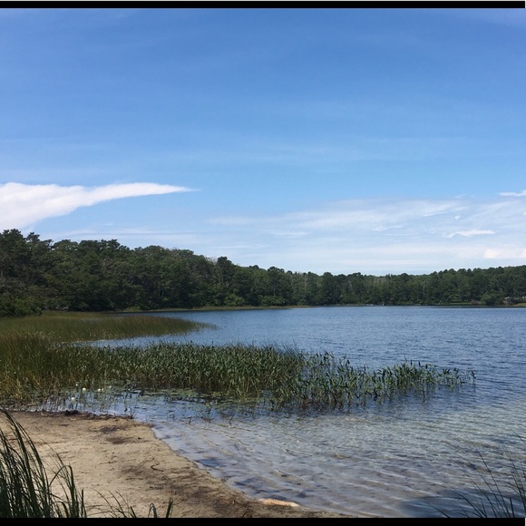 Meet your Posher, Anya - Picture 7 of 13